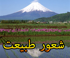 شعور طبیعت